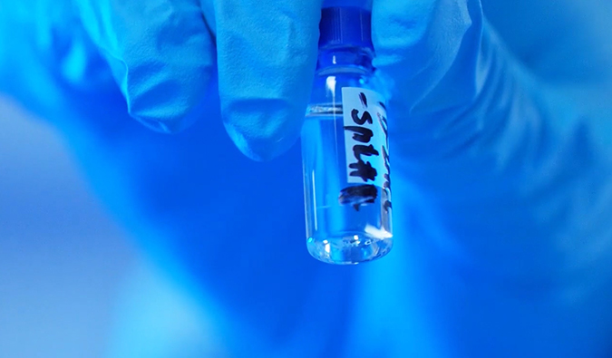 GLP-1“竞速赛”何以夺魁？？？？？？