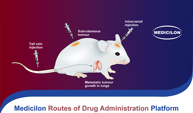 美研| 多种给药途径大盘货