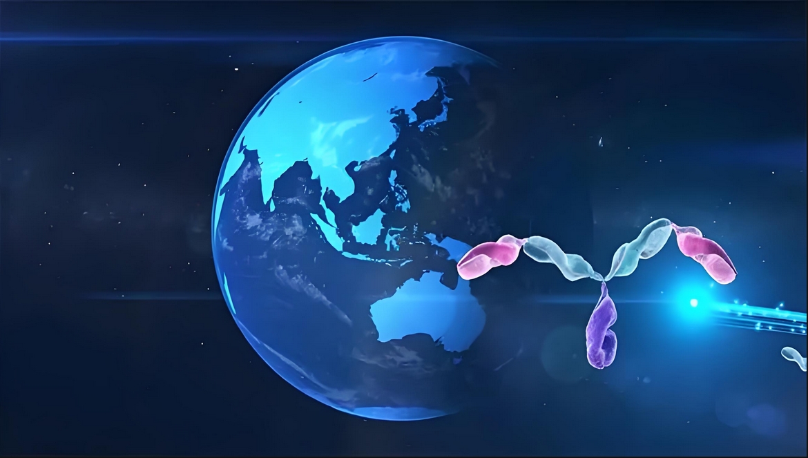 价值屡履历证！玩彩网祝贺相助同伴岸迈生物BCMA×CD3双抗EMB-06授权出海