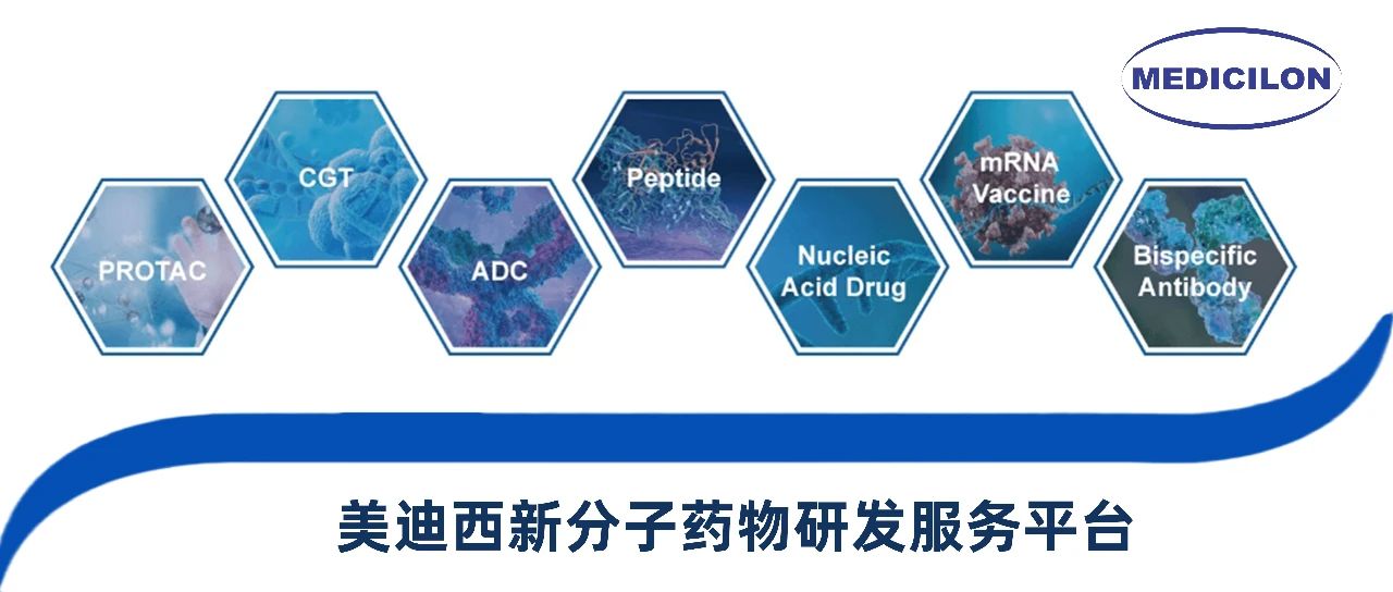 玩彩网新分子类型药物研发服务平台