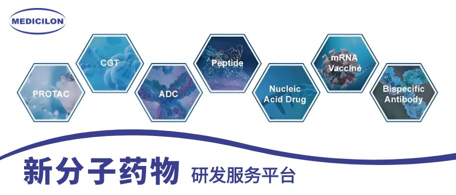 玩彩网新分子药物研发服务平台