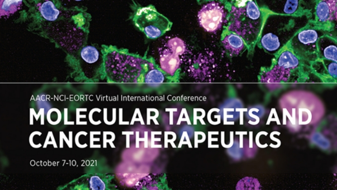 通过联合治疗提高免疫疗法疗效，，，，，本研究中临床前体内药效研究通过玩彩网举行